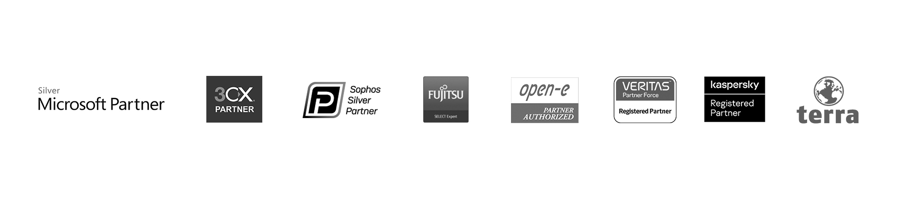 Ein schwarzweißer Slider in dem Partnerlogos der Firmen Microsoft, 3XC, Sophos, Fujitsu, Open-e, Veritas, Kaspersky und Terra zu sehen sind.