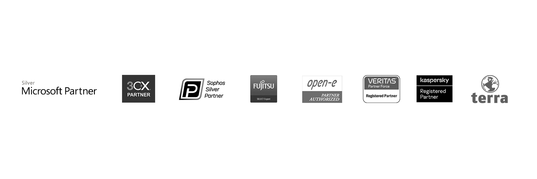 Ein schwarzweißer Slider in dem Partnerlogos der Firmen Microsoft, 3XC, Sophos, Fujitsu, Open-e, Veritas, Kaspersky und Terra zu sehen sind.